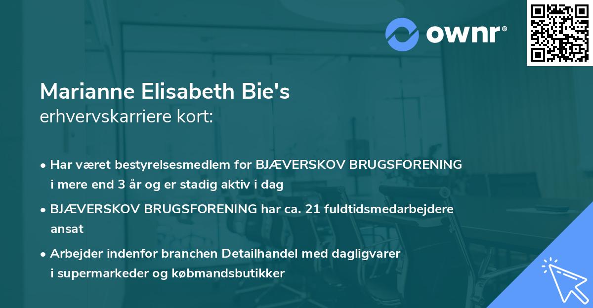 Marianne Elisabeth Bie's erhvervskarriere kort