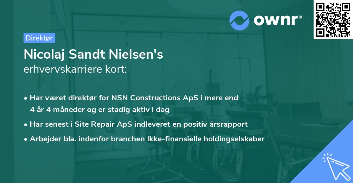 Nicolaj Sandt Nielsen's erhvervskarriere kort
