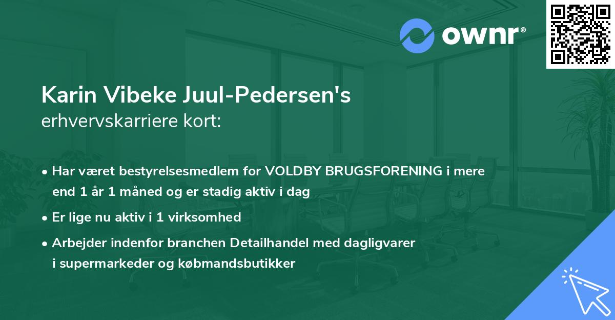 Karin Vibeke Juul-Pedersen's erhvervskarriere kort
