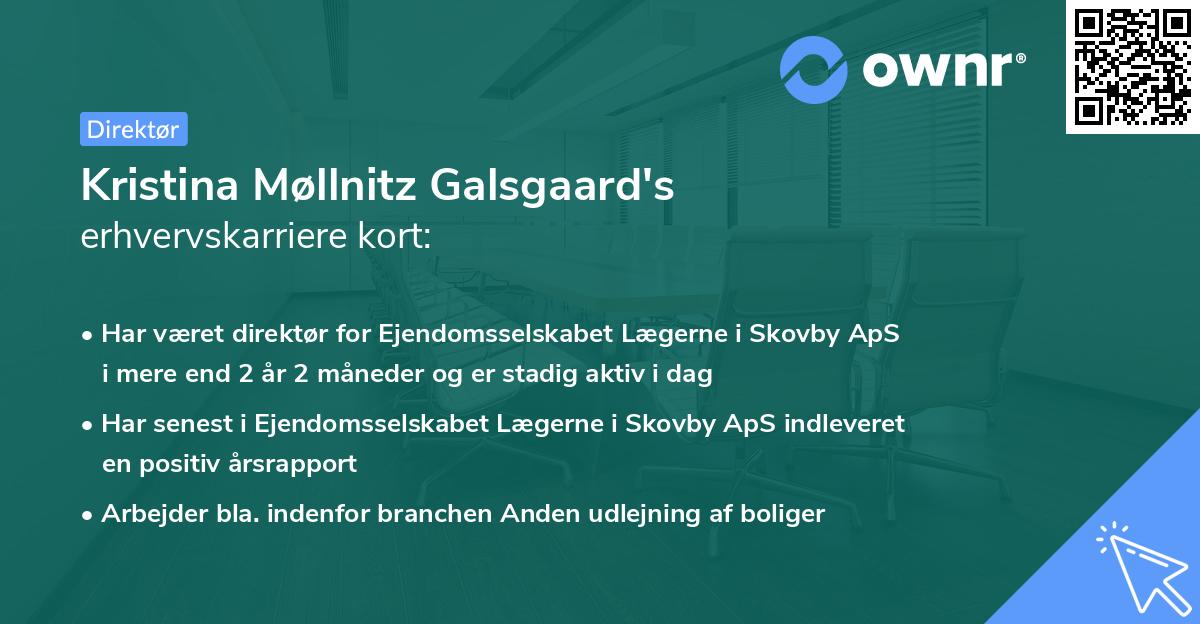 Kristina Møllnitz Galsgaard's erhvervskarriere kort
