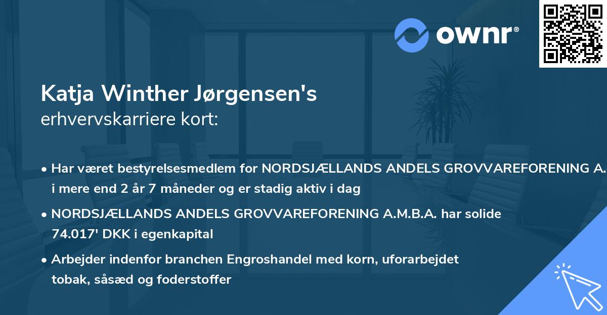 Katja Winther Jørgensen's erhvervskarriere kort