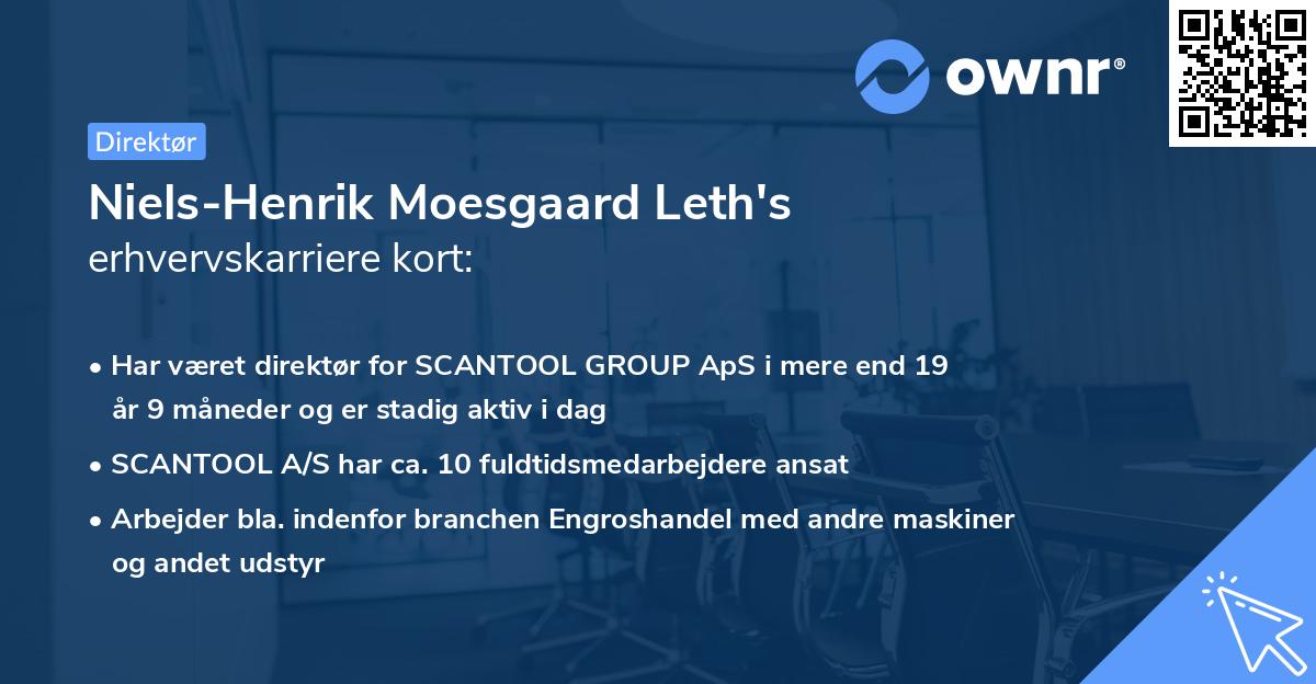 Niels-Henrik Moesgaard Leth's erhvervskarriere kort