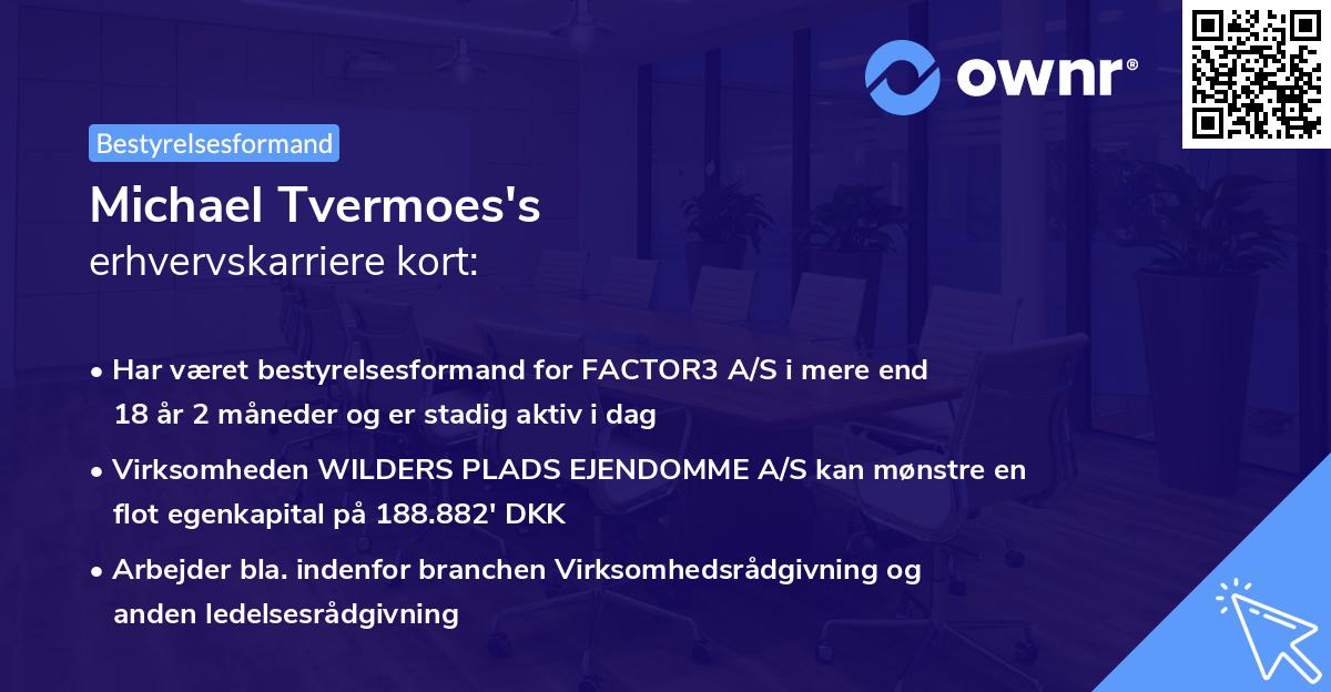 Michael Tvermoes's erhvervskarriere kort