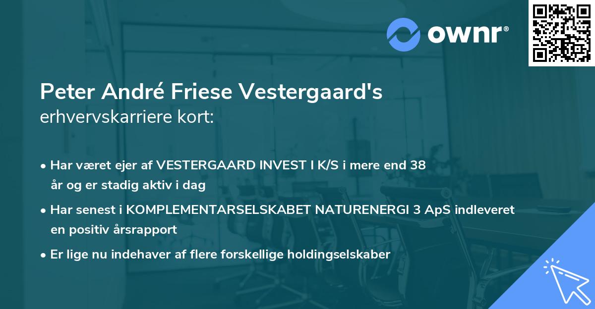 Peter André Friese Vestergaard's erhvervskarriere kort