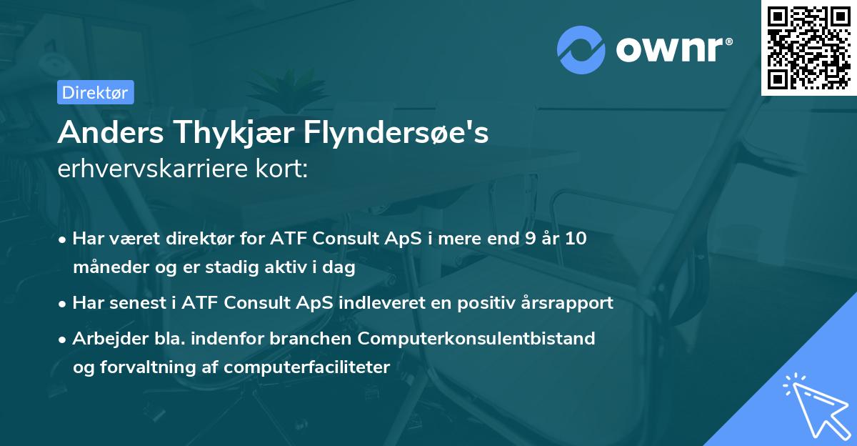 Anders Thykjær Flyndersøe's erhvervskarriere kort