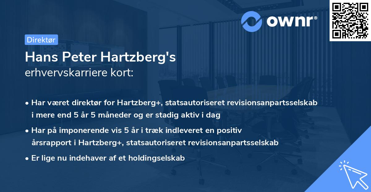 Hans Peter Hartzberg's erhvervskarriere kort