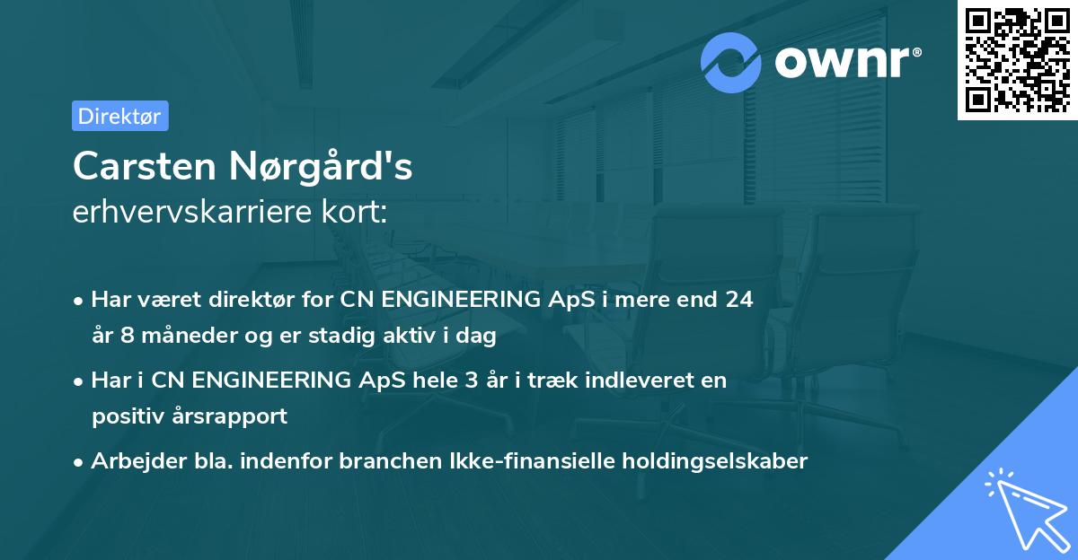 Carsten Nørgård's erhvervskarriere kort