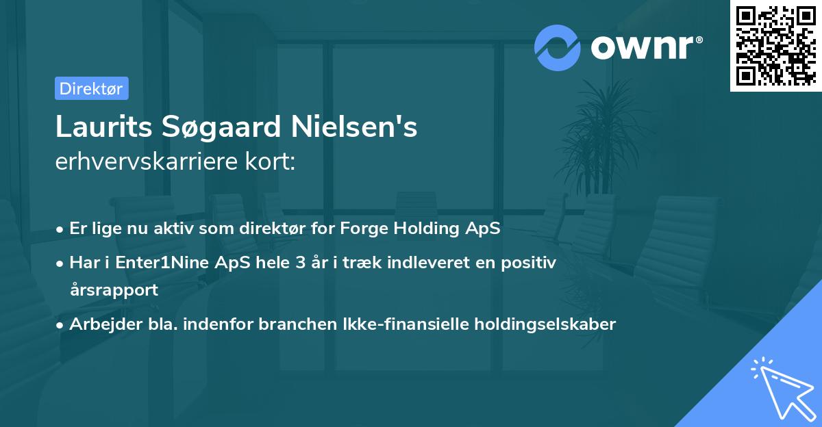 Laurits Søgaard Nielsen's erhvervskarriere kort