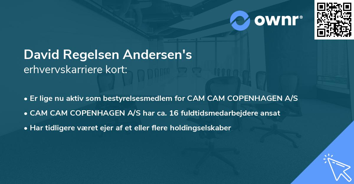 David Regelsen Andersen's erhvervskarriere kort