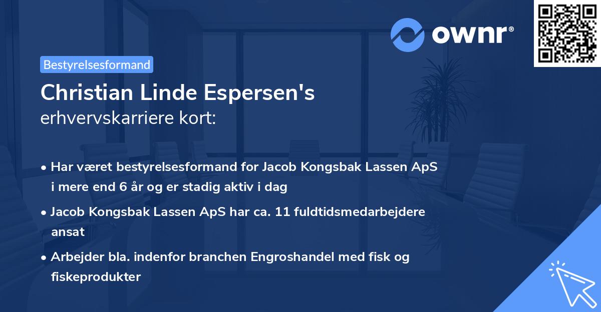 Christian Linde Espersen's erhvervskarriere kort