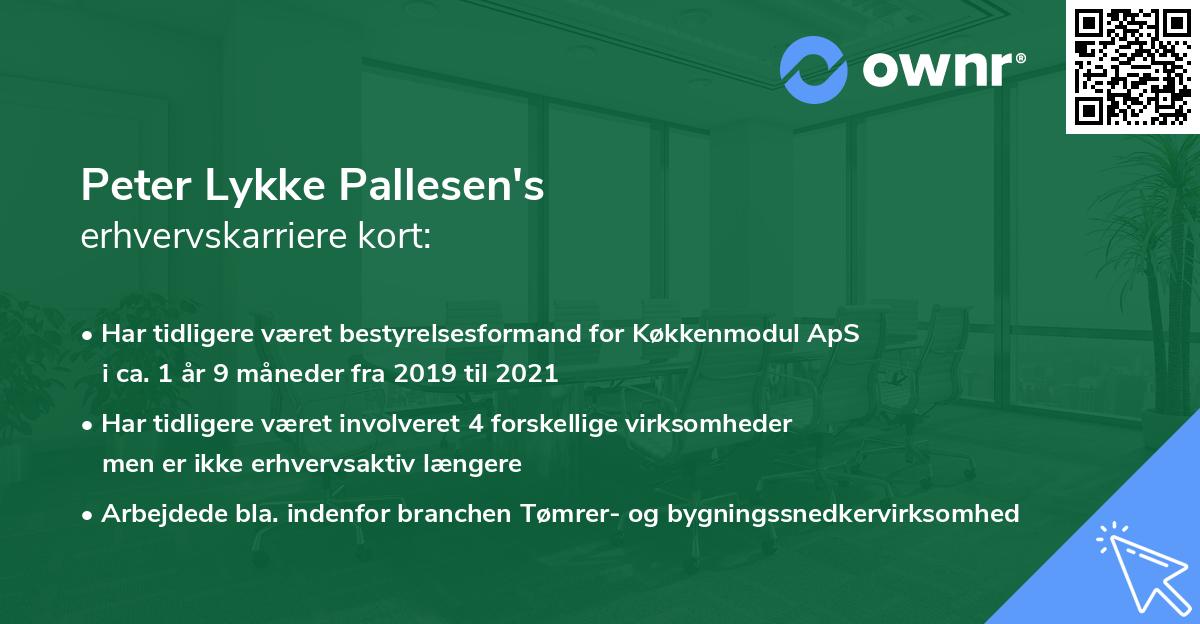 Peter Lykke Pallesen's erhvervskarriere kort