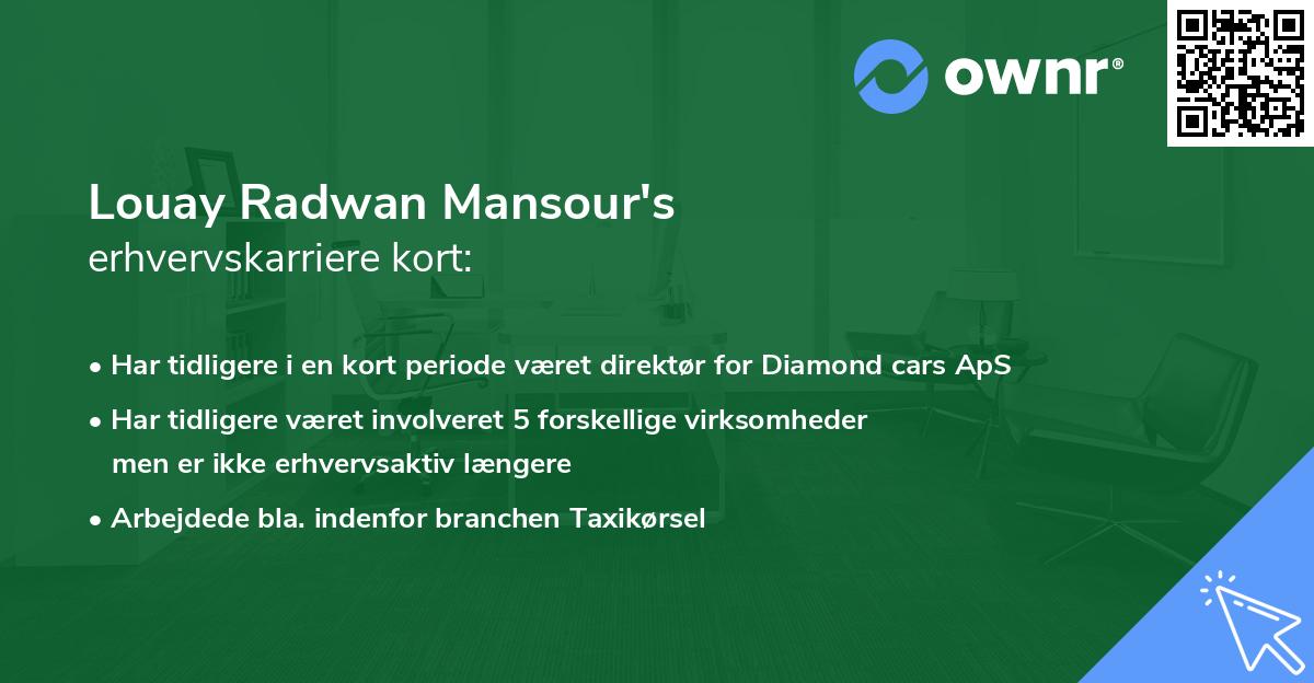 Louay Radwan Mansour's erhvervskarriere kort