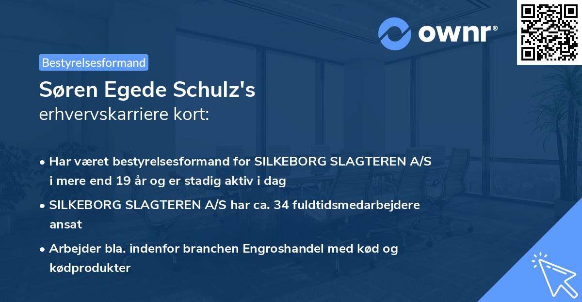 Søren Egede Schulz's erhvervskarriere kort