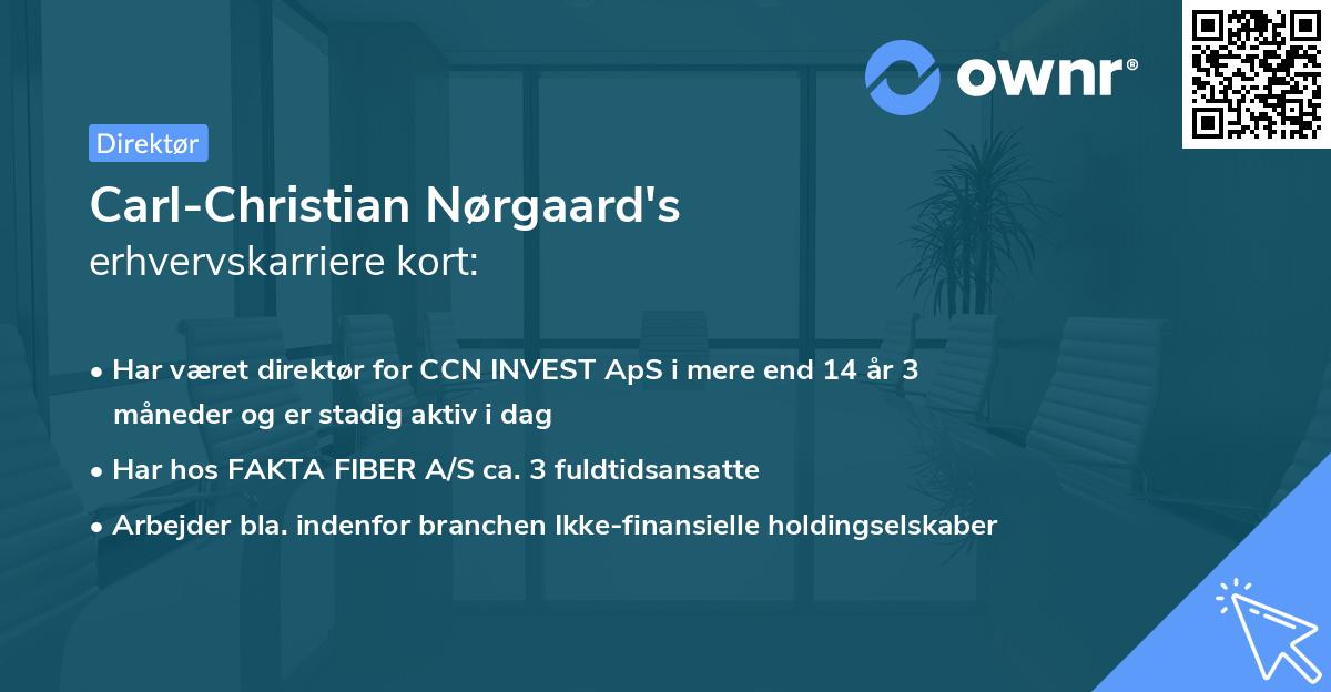 Carl-Christian Nørgaard's erhvervskarriere kort