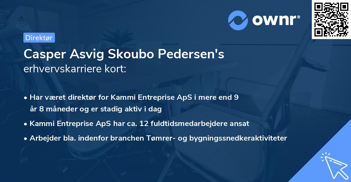 Casper Asvig Skoubo Pedersen's erhvervskarriere kort