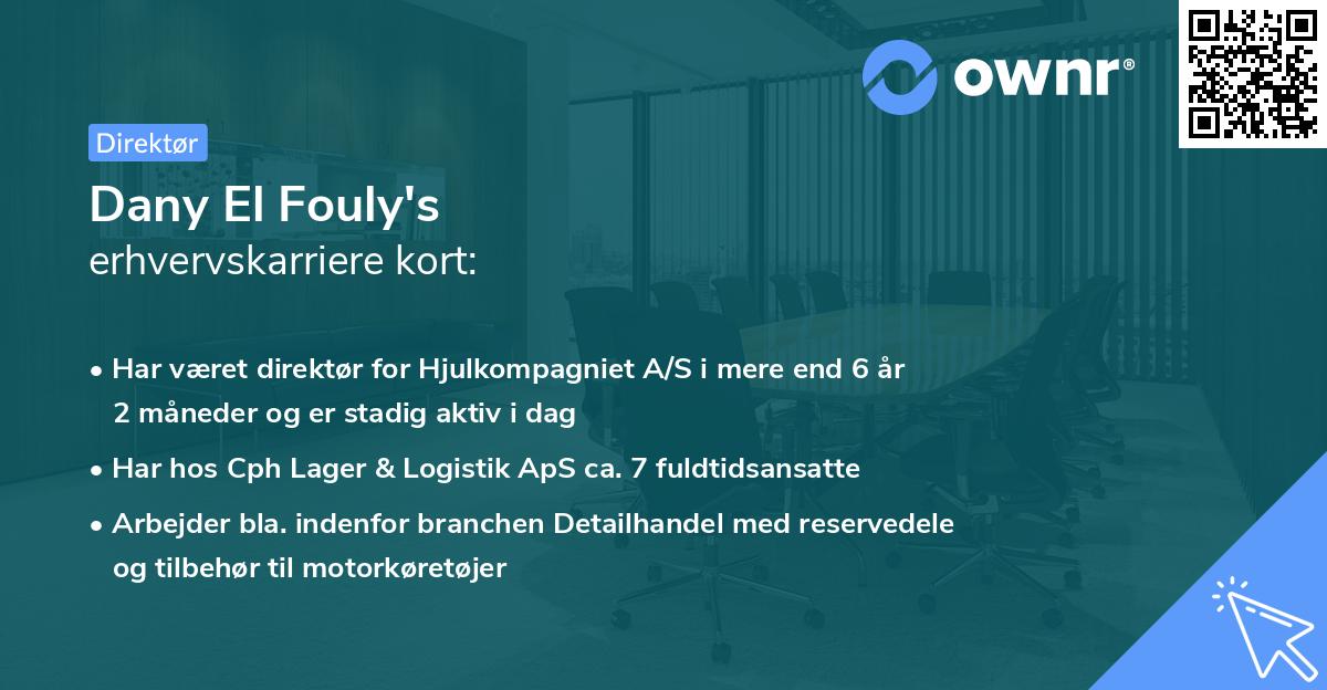 Dany El Fouly's erhvervskarriere kort