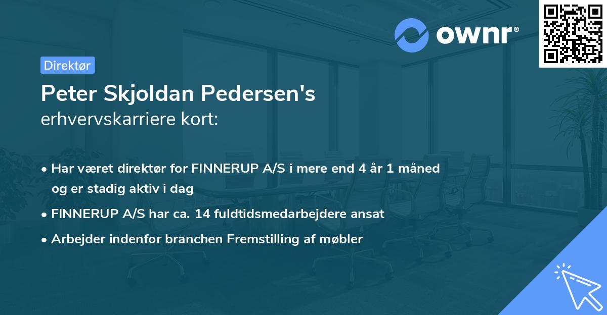 Peter Skjoldan Pedersen's erhvervskarriere kort
