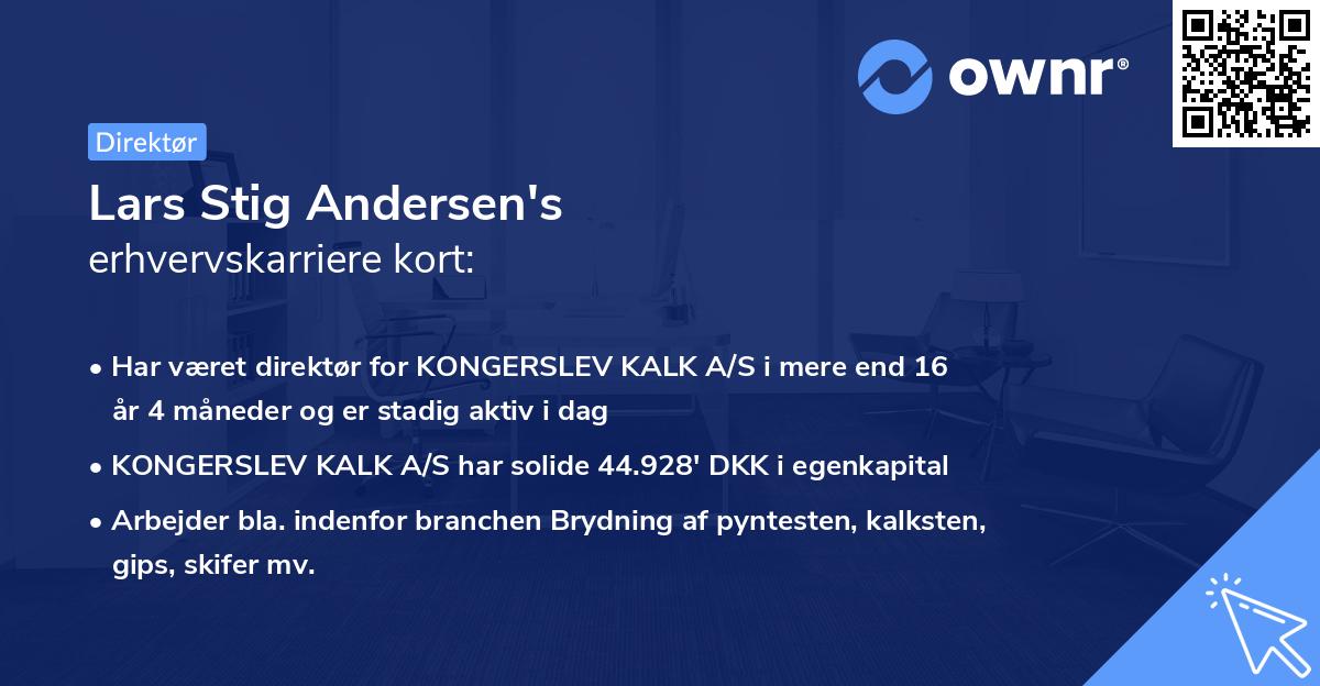 Lars Stig Andersen's erhvervskarriere kort