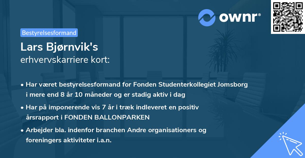 Lars Bjørnvik's erhvervskarriere kort