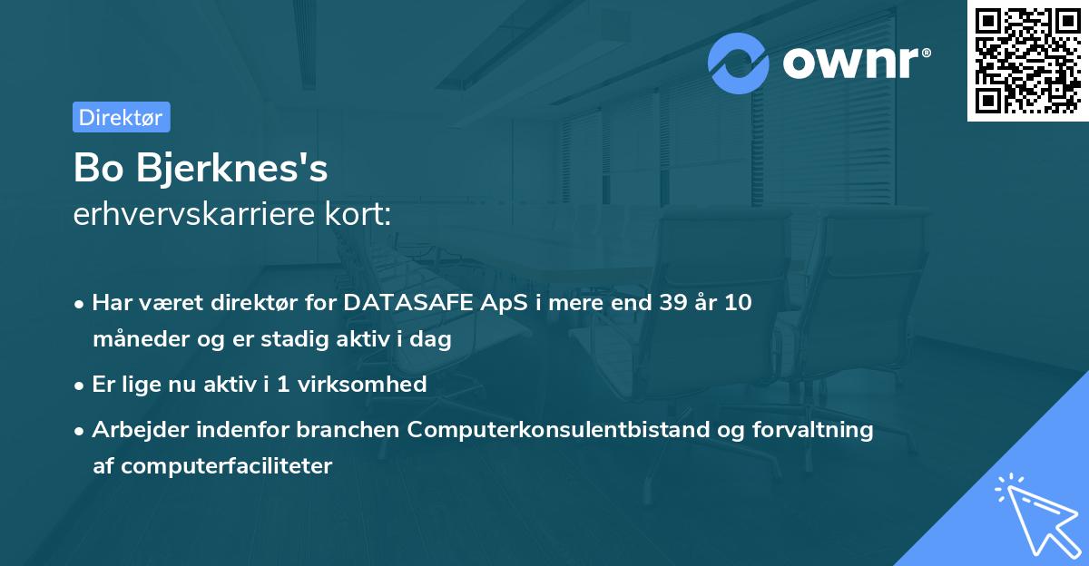 Bo Bjerknes's erhvervskarriere kort