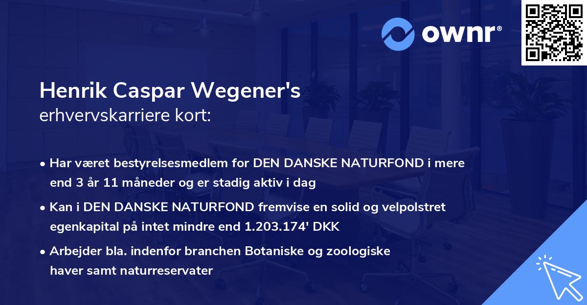 Henrik Caspar Wegener's erhvervskarriere kort