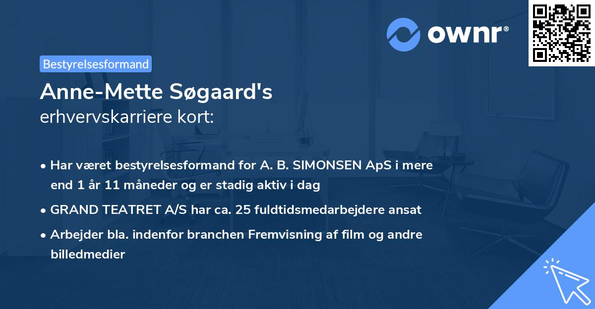 Anne-Mette Søgaard's erhvervskarriere kort