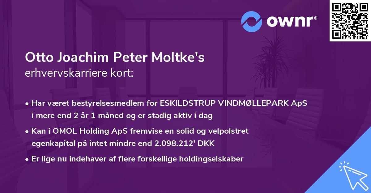 Otto Joachim Peter Moltke's erhvervskarriere kort