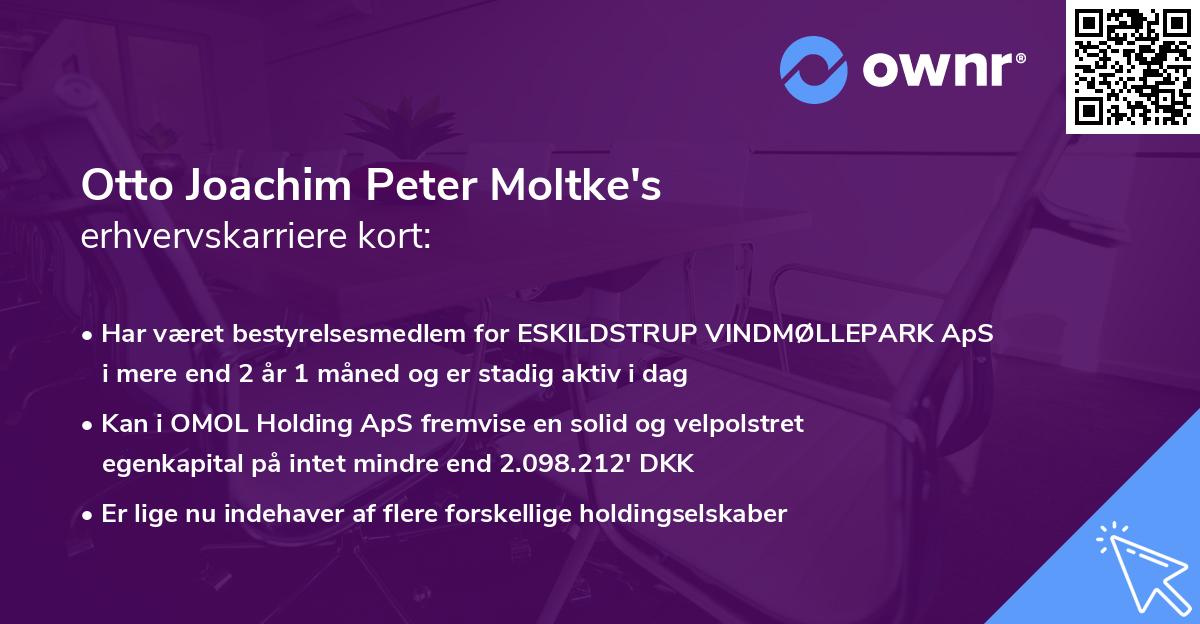 Otto Joachim Peter Moltke's erhvervskarriere kort