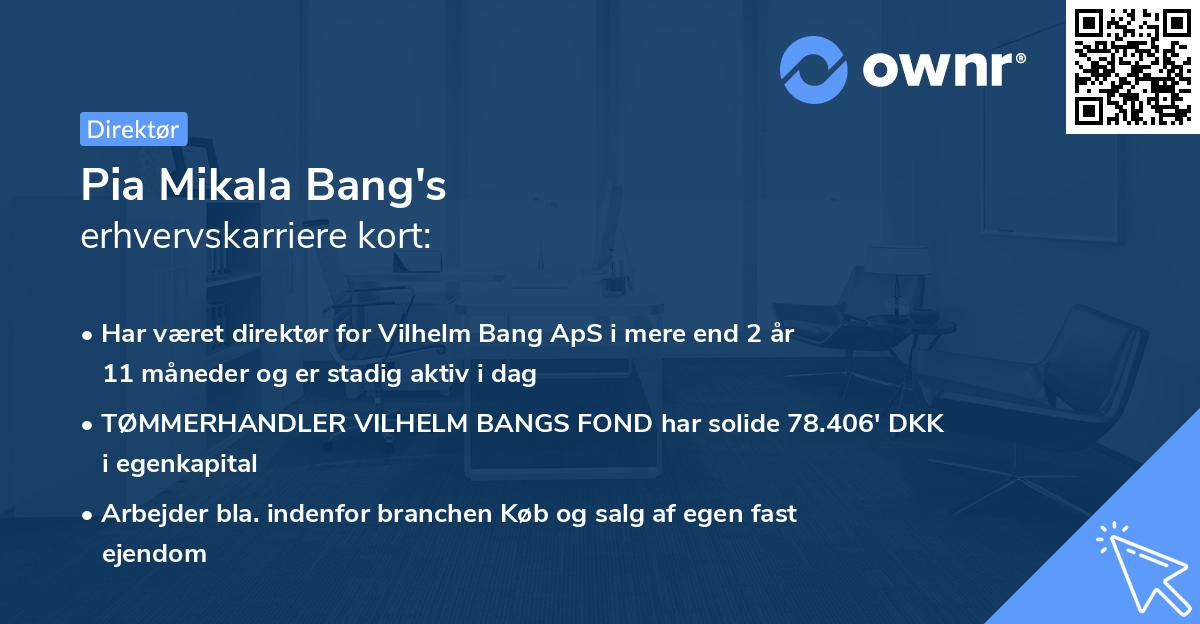 Pia Mikala Bang's erhvervskarriere kort