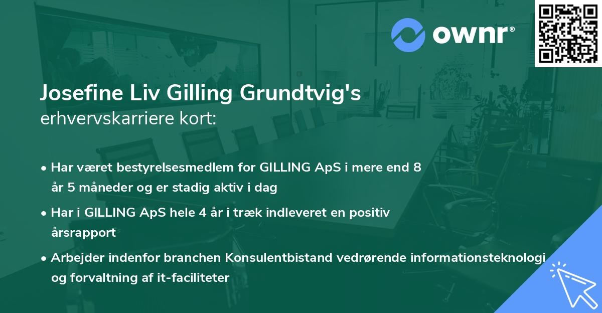 Josefine Liv Gilling Grundtvig's erhvervskarriere kort