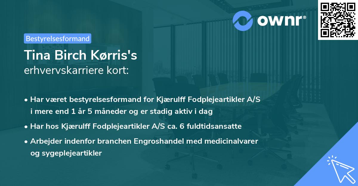 Tina Birch Kørris's erhvervskarriere kort