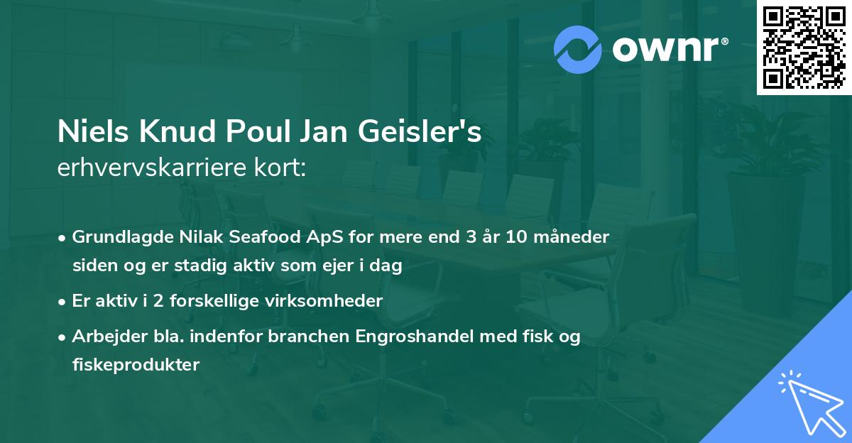 Niels Knud Poul Jan Geisler's erhvervskarriere kort