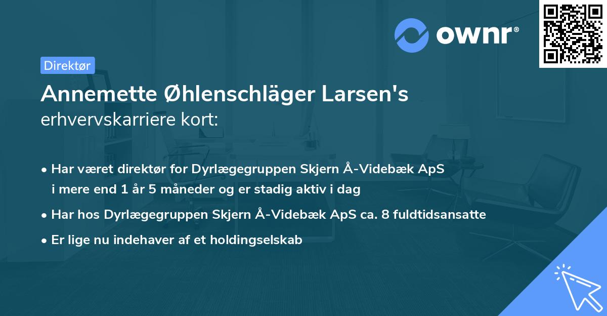 Annemette Øhlenschläger Larsen's erhvervskarriere kort