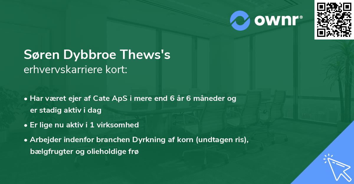 Søren Dybbroe Thews's erhvervskarriere kort