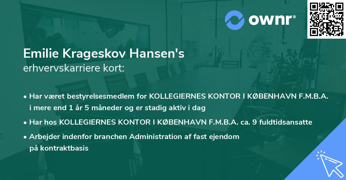 Emilie Krageskov Hansen's erhvervskarriere kort
