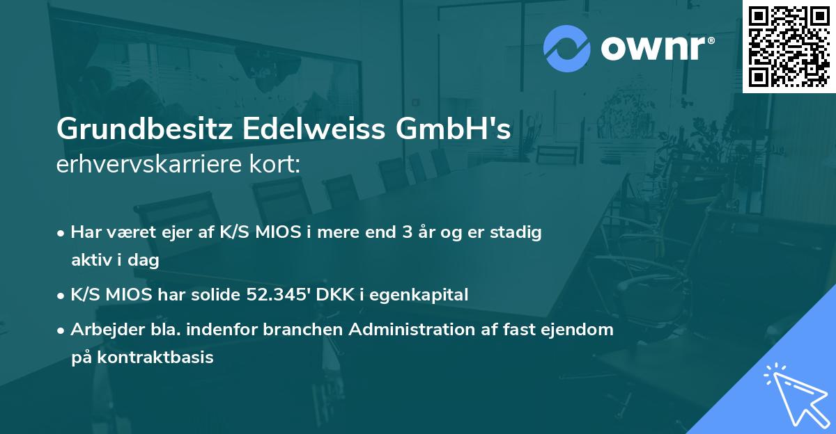 Grundbesitz Edelweiss GmbH's erhvervskarriere kort