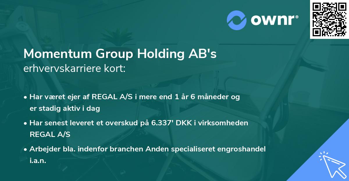 Momentum Group Holding AB's erhvervskarriere kort