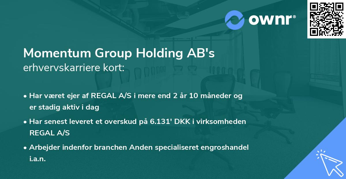 Momentum Group Holding AB's erhvervskarriere kort