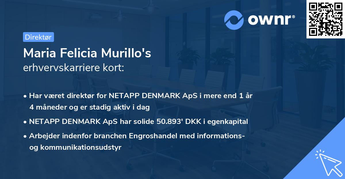 Maria Felicia Murillo's erhvervskarriere kort