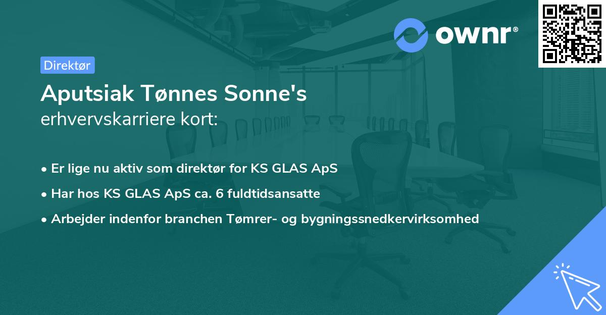 Aputsiak Tønnes Sonne's erhvervskarriere kort