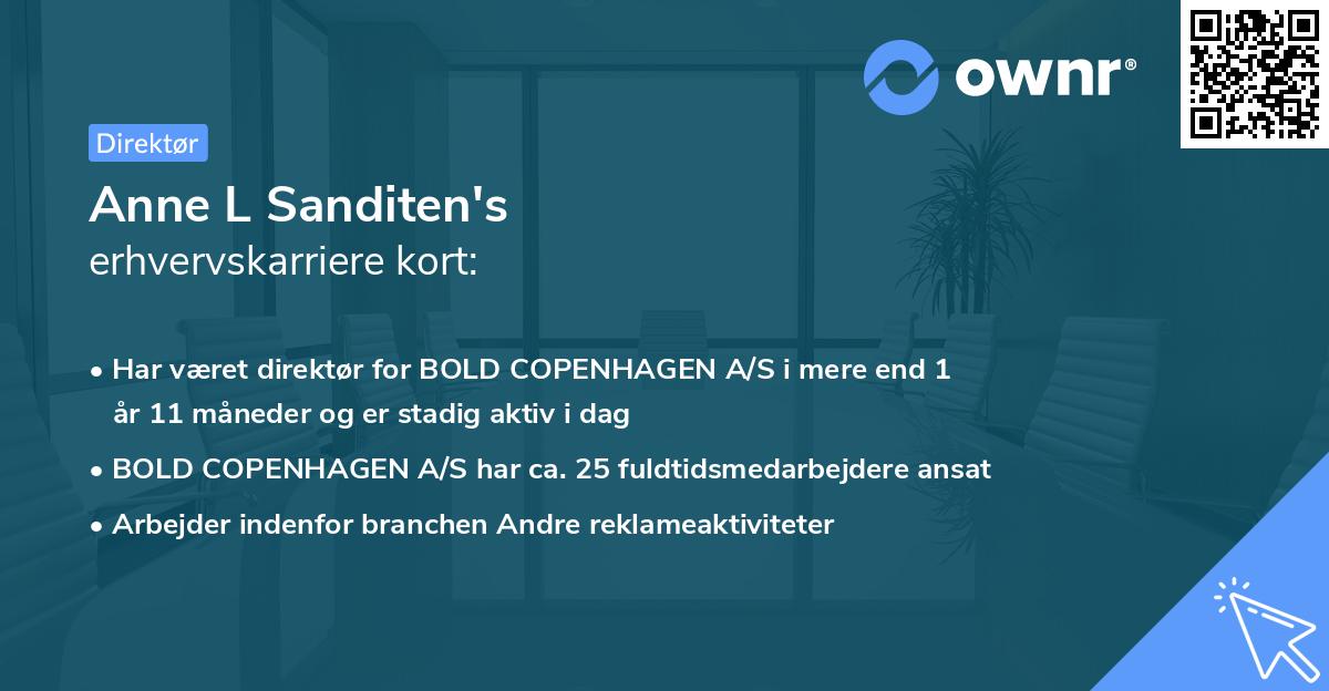 Anne L Sanditen's erhvervskarriere kort