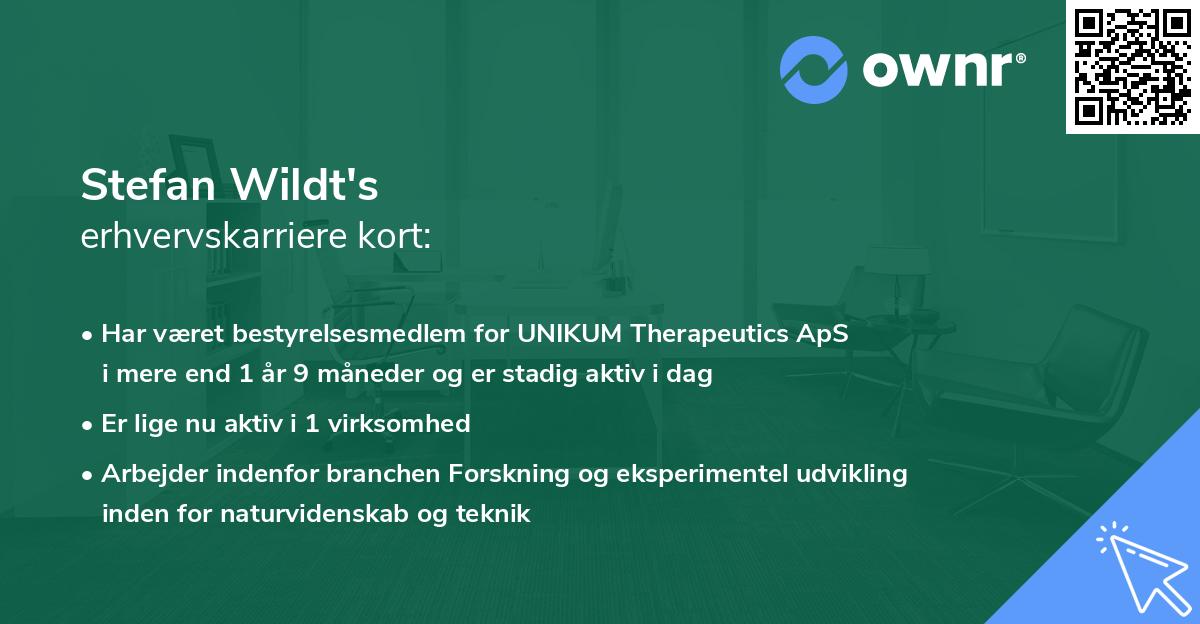 Stefan Wildt's erhvervskarriere kort