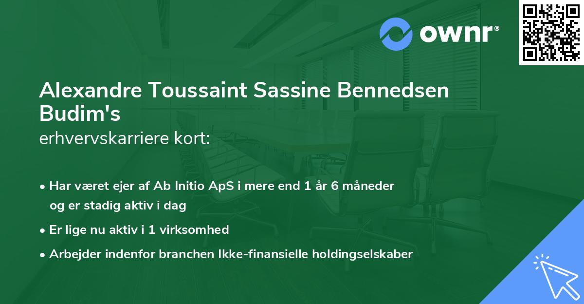 Alexandre Toussaint Sassine Bennedsen Budim's erhvervskarriere kort