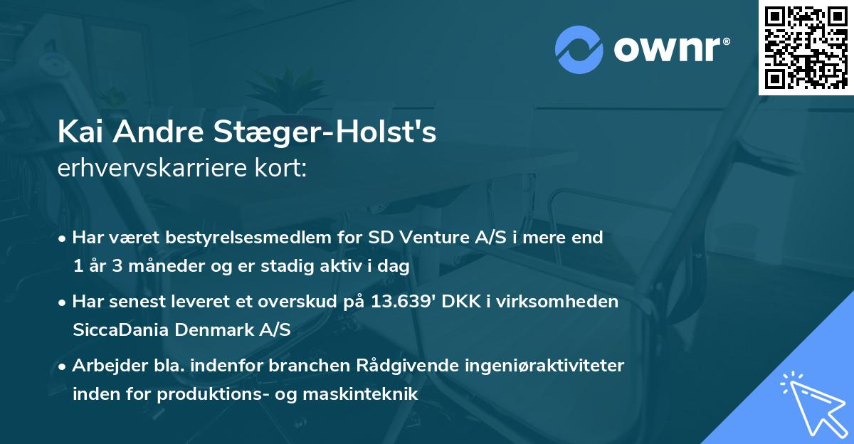Kai Andre Stæger-Holst's erhvervskarriere kort