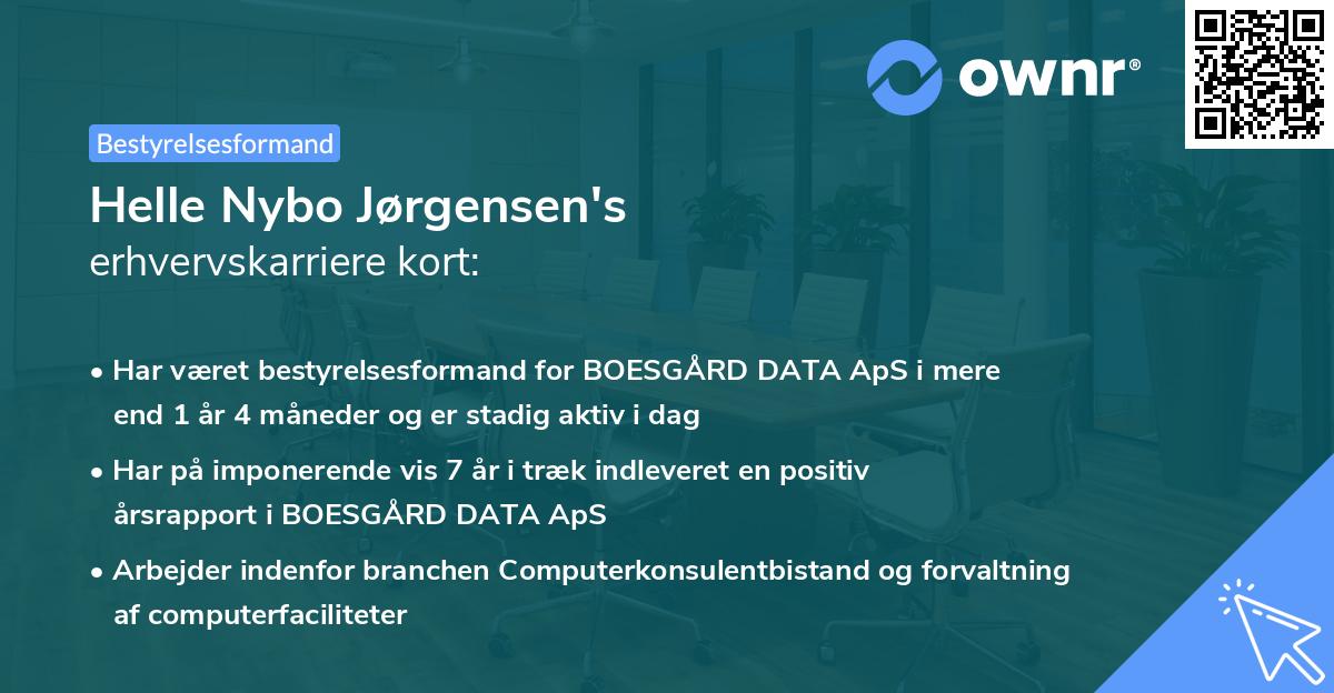 Helle Nybo Jørgensen's erhvervskarriere kort