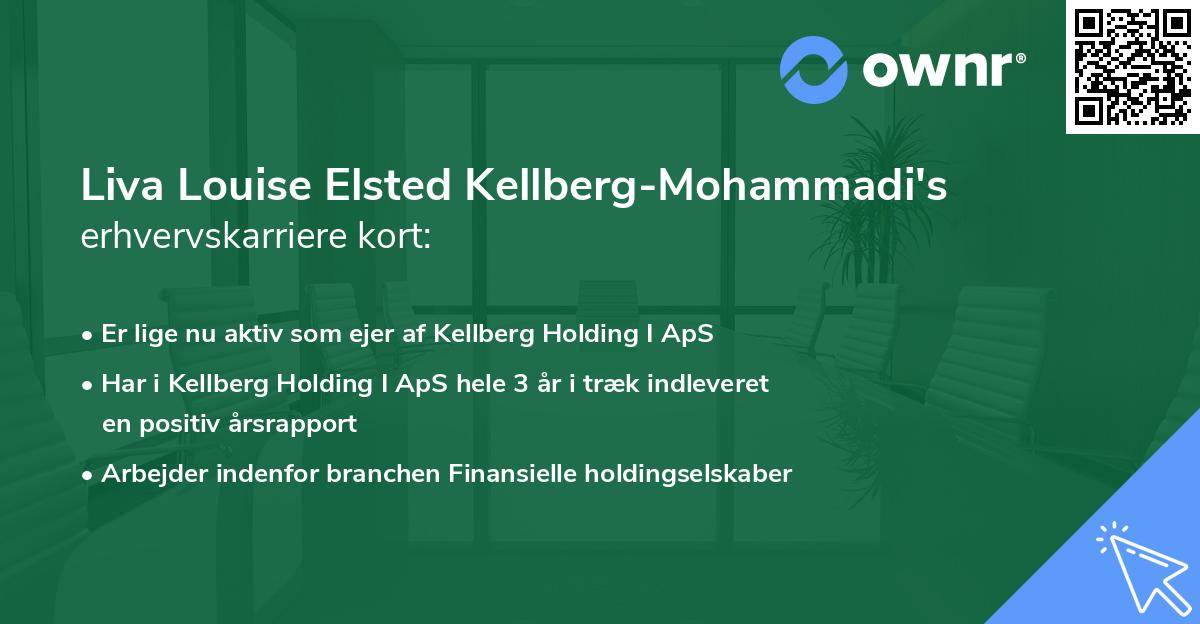 Liva Louise Elsted Kellberg-Mohammadi's erhvervskarriere kort