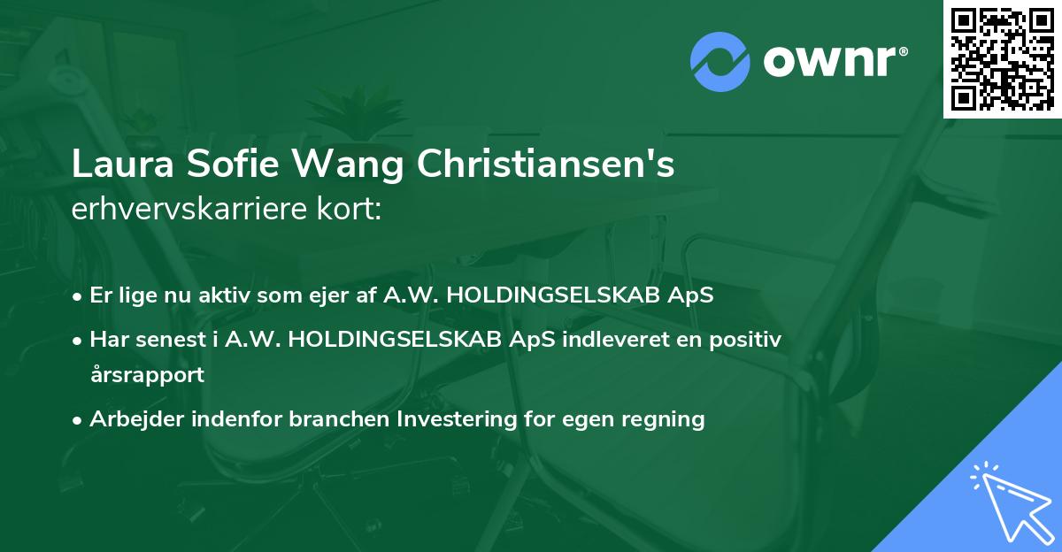 Laura Sofie Wang Christiansen's erhvervskarriere kort
