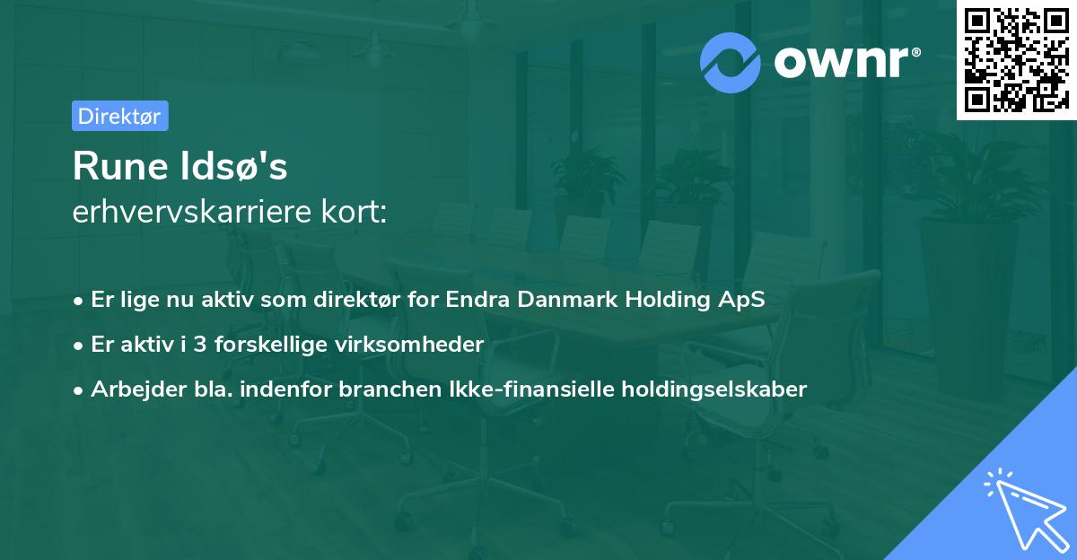 Rune Idsø's erhvervskarriere kort
