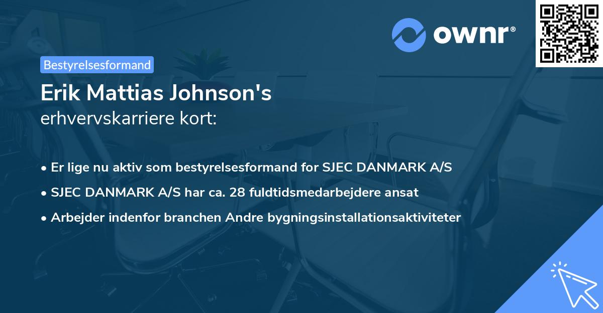 Erik Mattias Johnson's erhvervskarriere kort