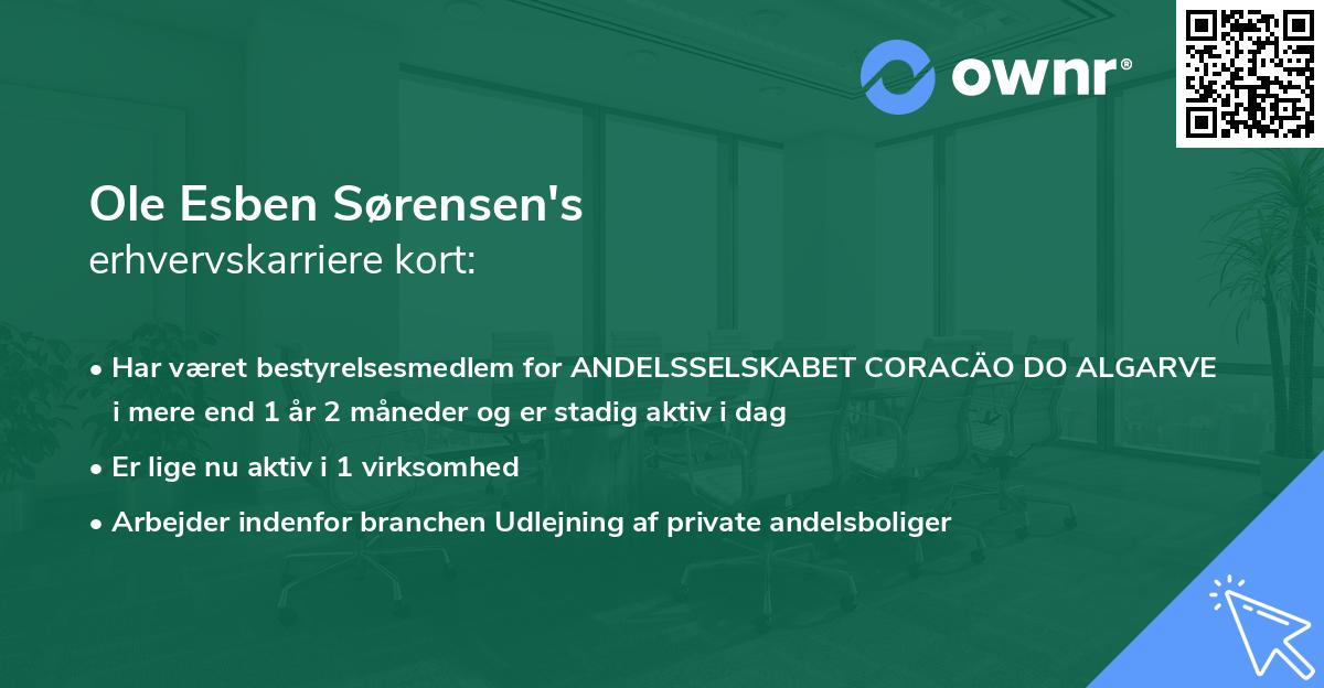 Ole Esben Sørensen's erhvervskarriere kort